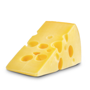 Thick slice of Edam cheese with holes