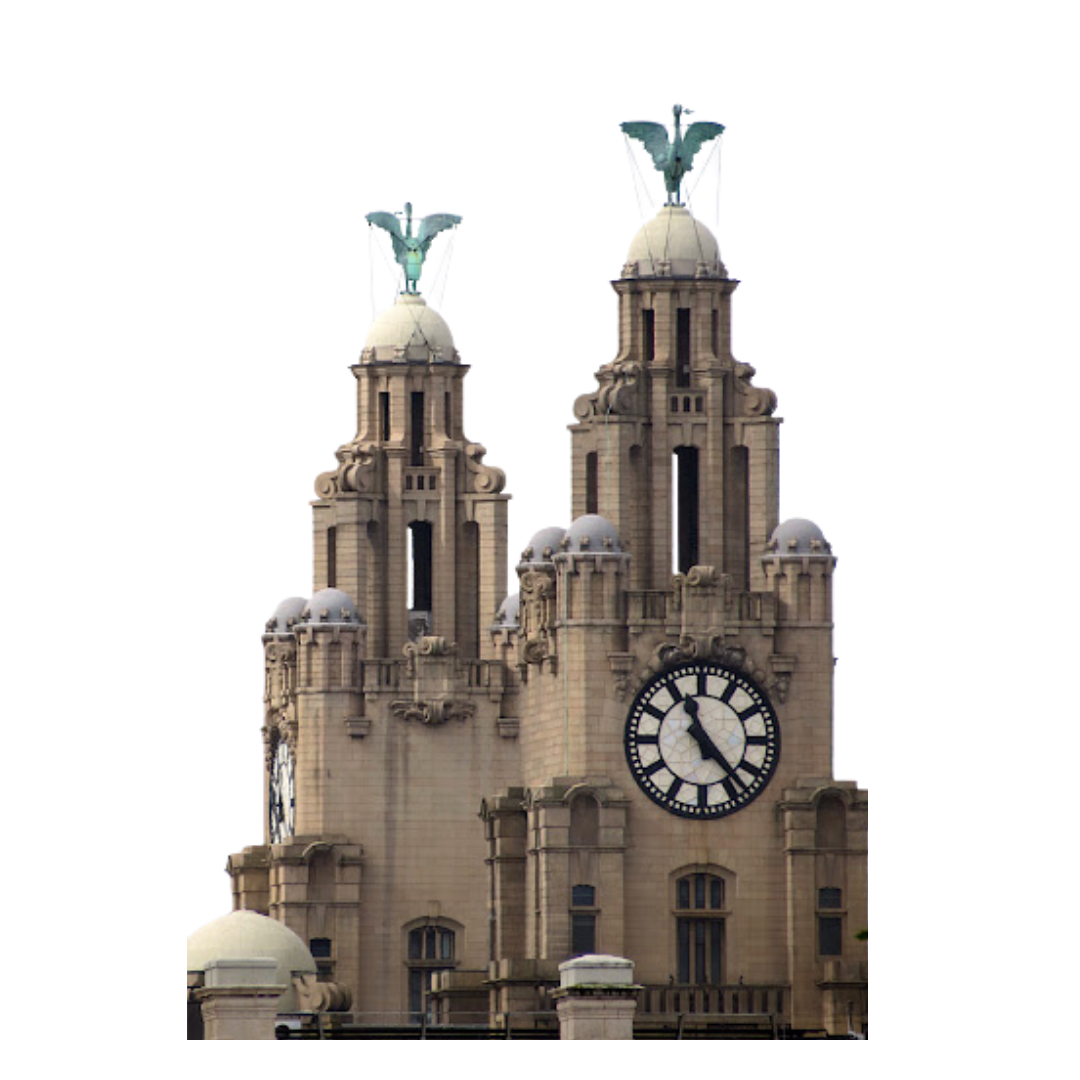 liver building