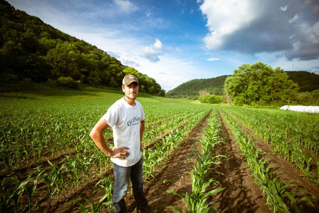 Man in a field of crops buying a family farming business