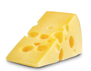 Thick slice of Edam cheese with holes