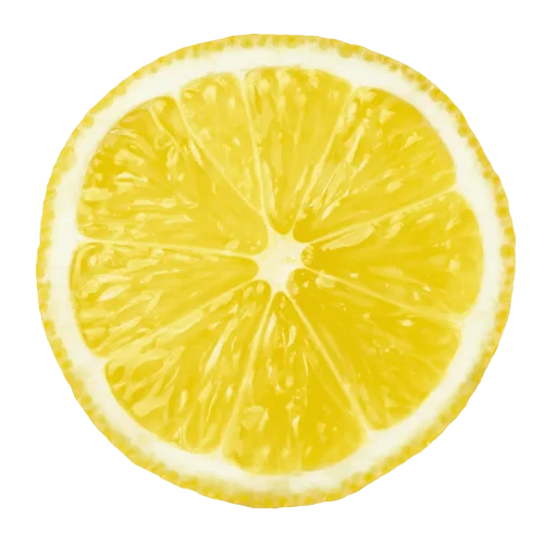 Lemon slice